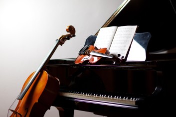 1:1 개인 레슨/그룹 레슨